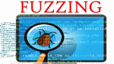 Hem saldırı hem savunma: Siber güvenliğin diyalektiği "Fuzzing" nedir?