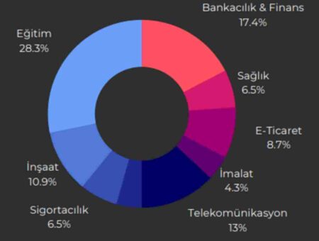 Dark Web’de Türkçe konuşulan grupların sayısı artıyor